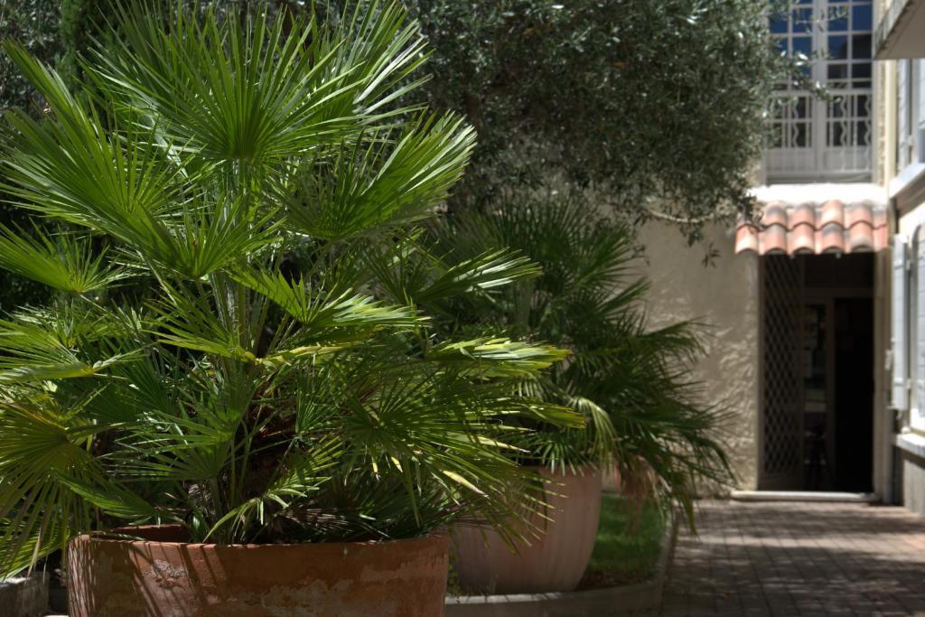 Hotel Du Cheval Blanc Saint-Rémy-de-Provence エクステリア 写真